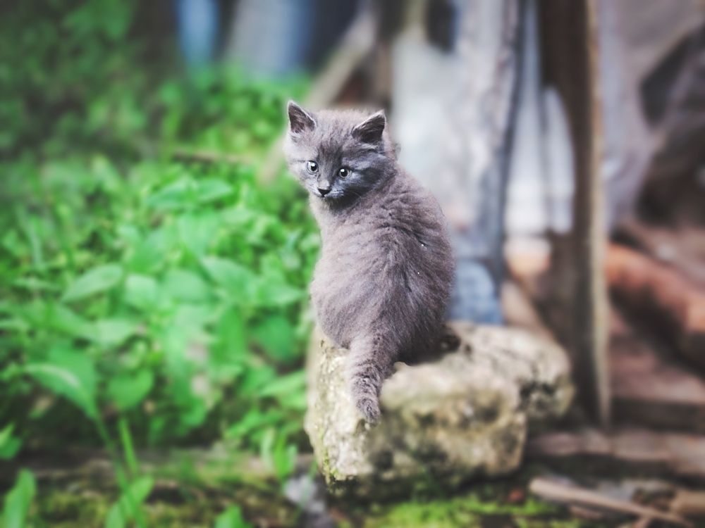 Photograph by Елена Чулюнина