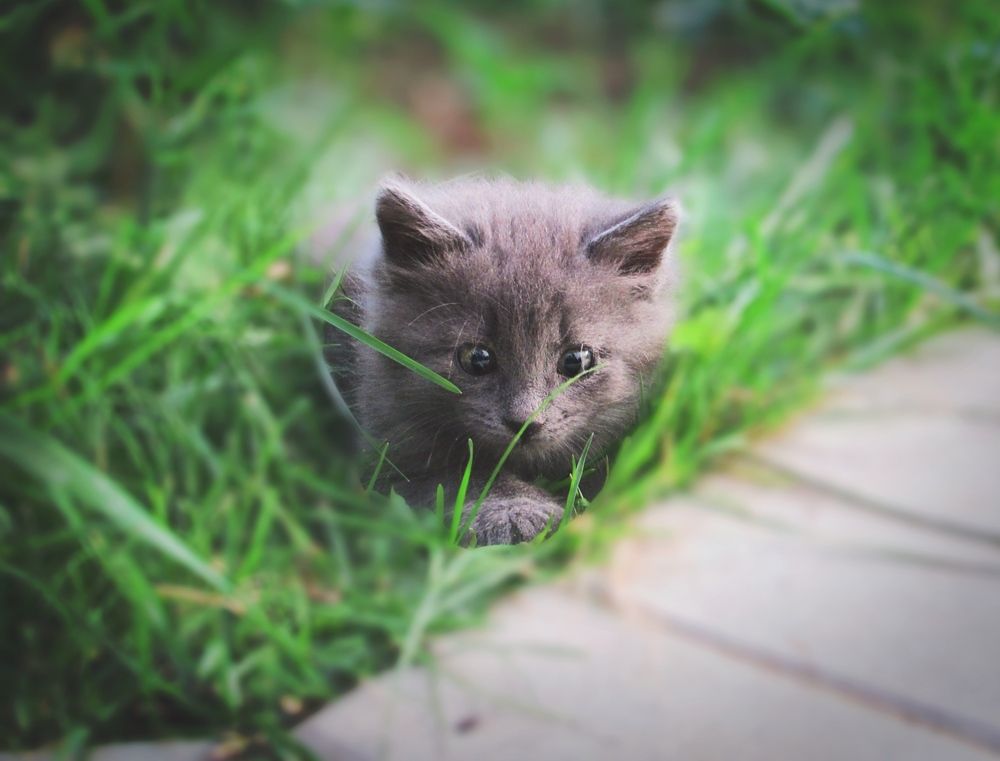 Photograph by Елена Чулюнина