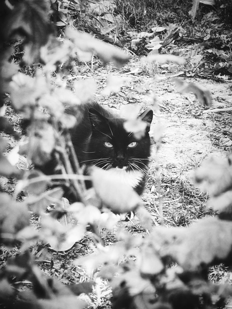 Photograph by Елена Чулюнина