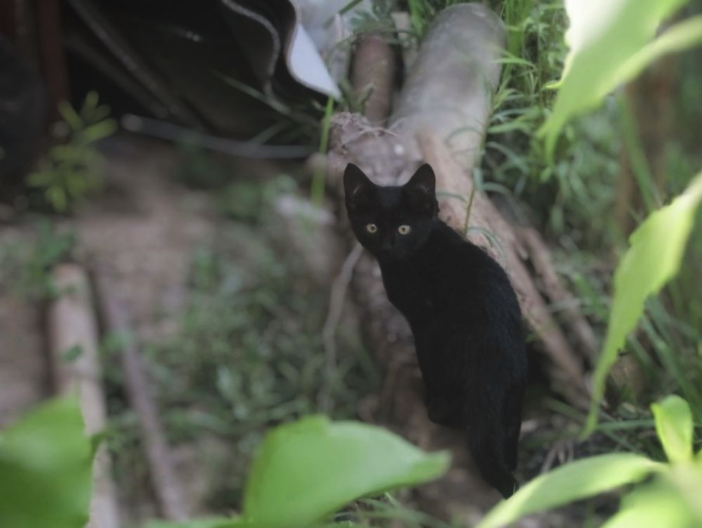 Photograph by Елена Чулюнина