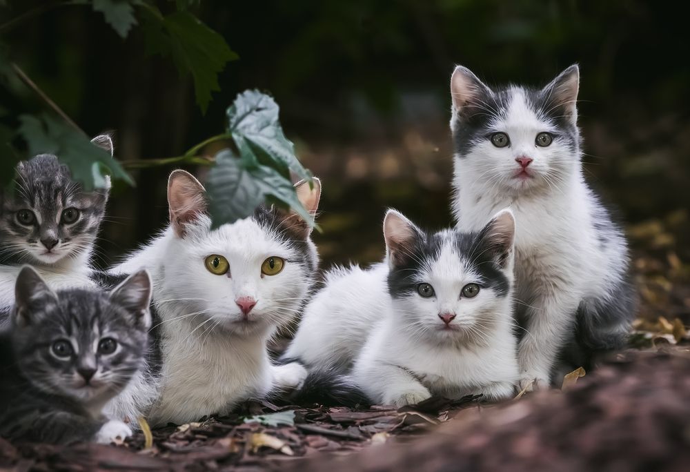 Photograph by Олег Милеев (Каминцев)