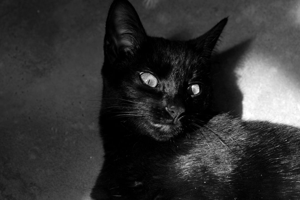 Фотография автора Jose Marcos Carvajal Tarazona