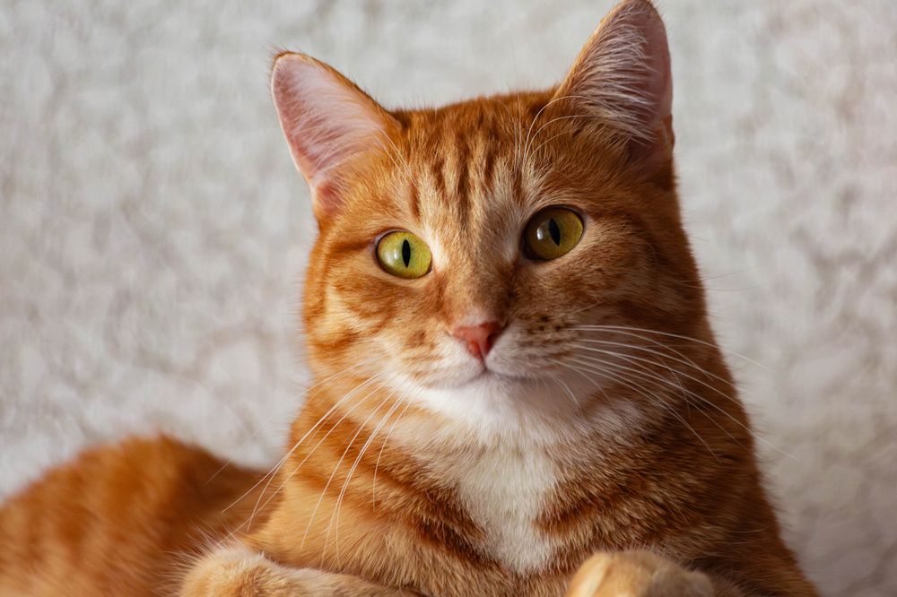 Photograph by Евгений Авдеев