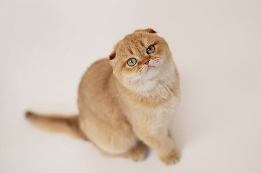 Photograph by Богданова Мария