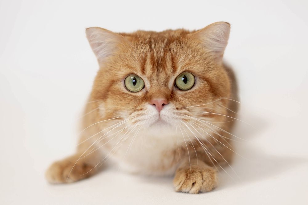 Photograph by Богданова Мария