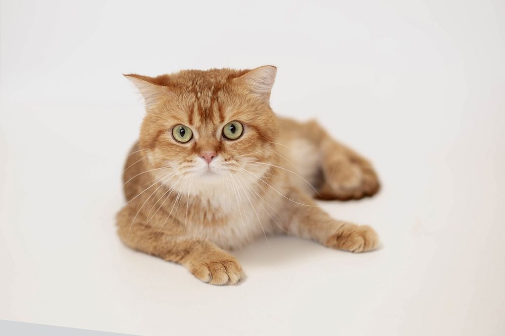 Photograph by Богданова Мария