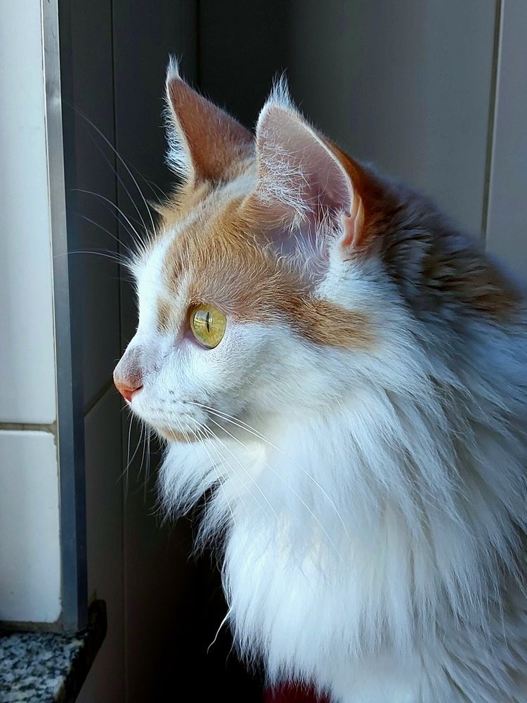 Photograph by Maria da Conceição Queiroz