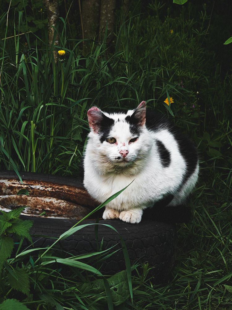 Photograph by Maria Stankevich