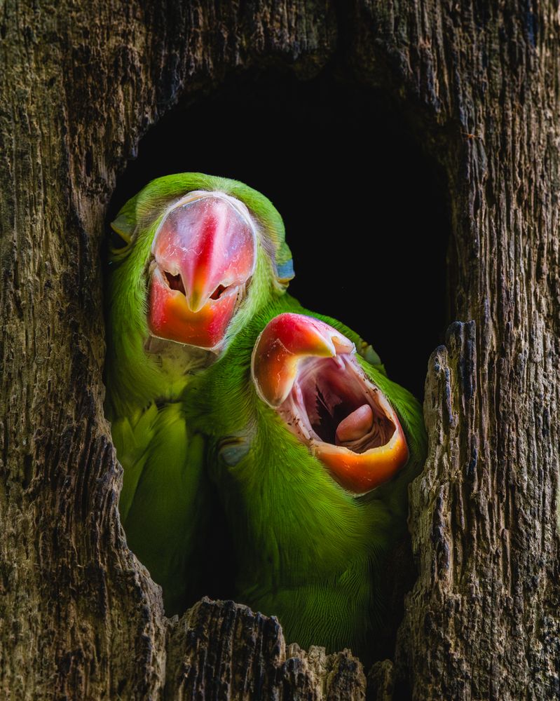 Photograph by Jit Roy