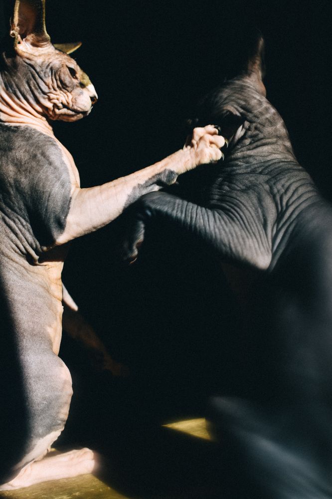 Photograph by Мария Негреева