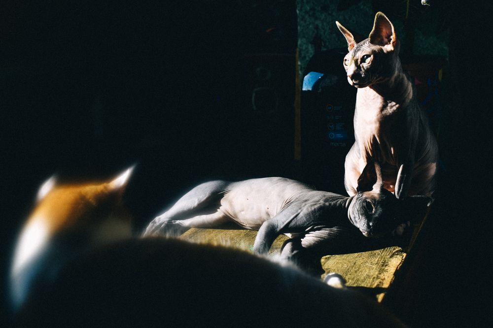 Photograph by Мария Негреева