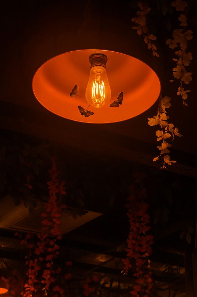 Photograph by RUDRANSH NAIR 11 A