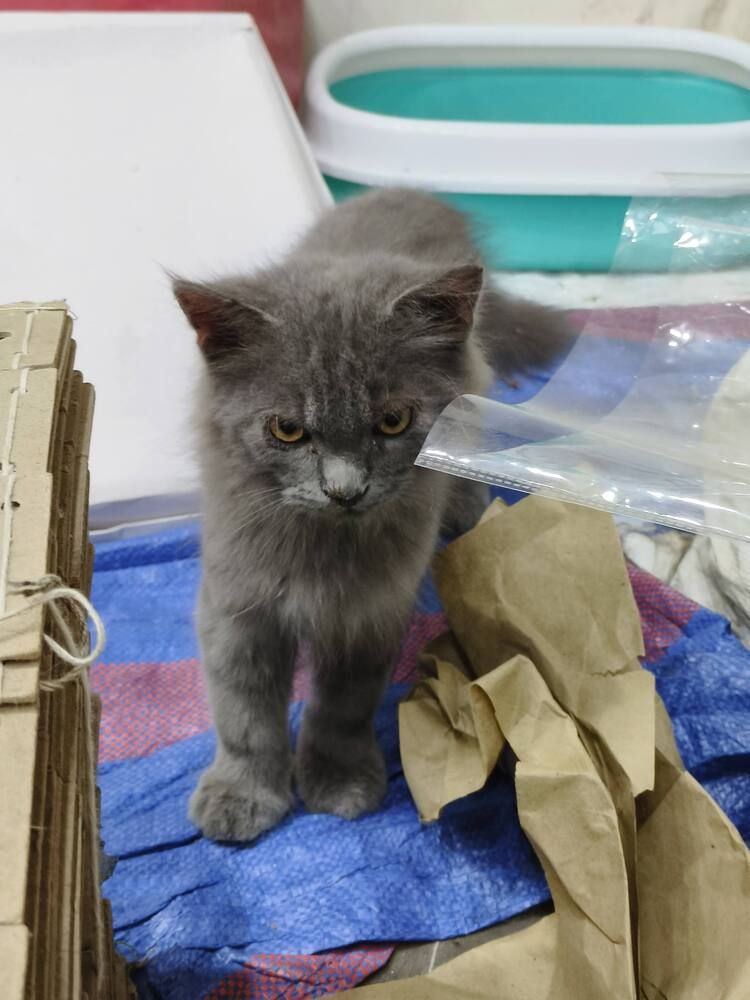 Photo #12206587