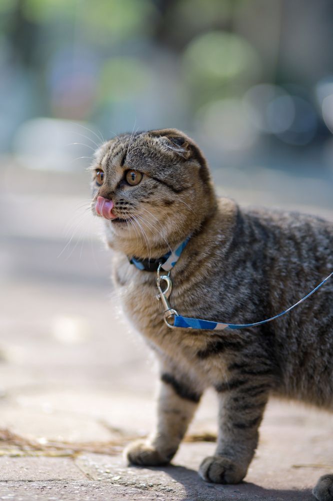 Фотография автора Luong Cung