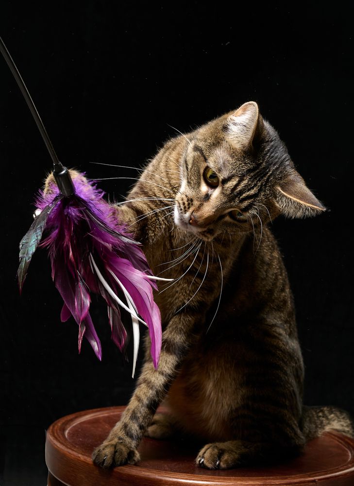 Photograph by Вадим Ершов