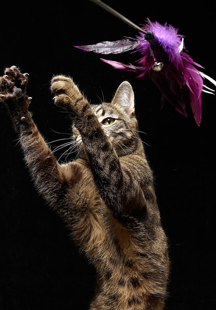 Photograph by Вадим Ершов