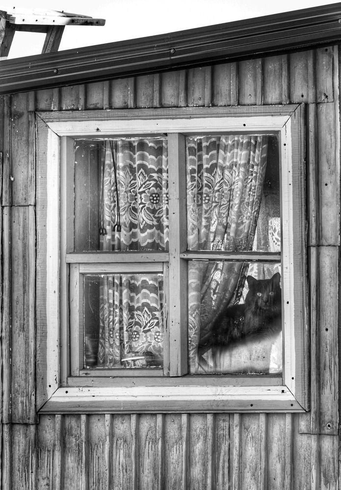 А из нашего окна