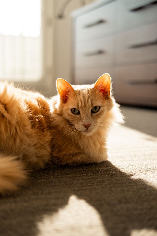 Photograph by Anna Cherkasova