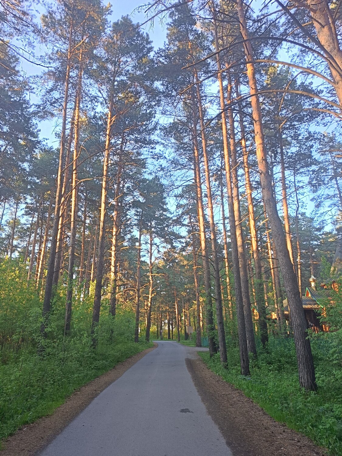 Photo #12206627