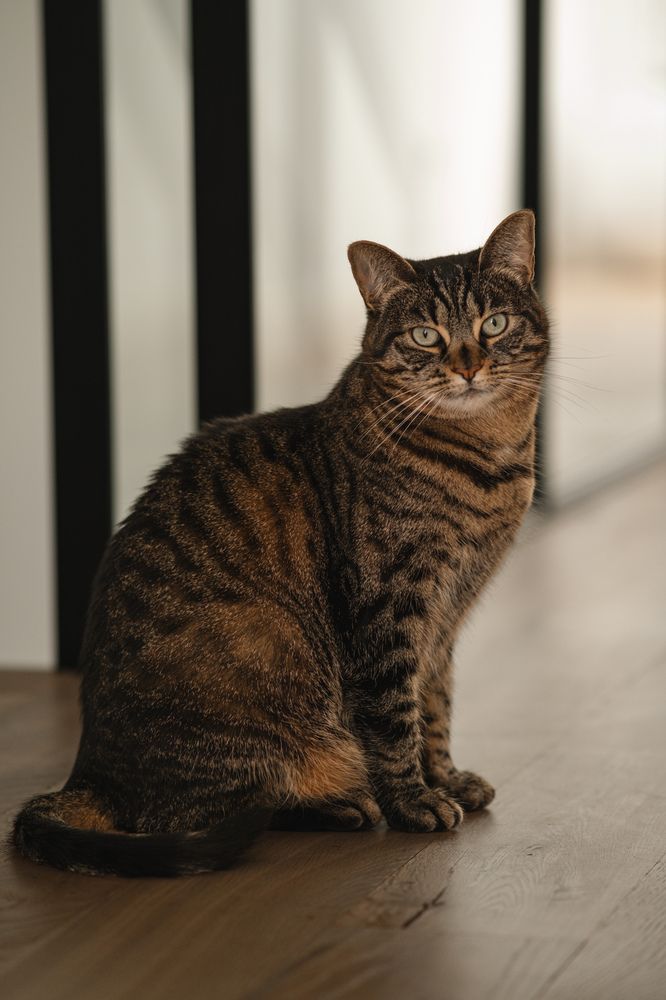 Photograph by Anna Cherkasova