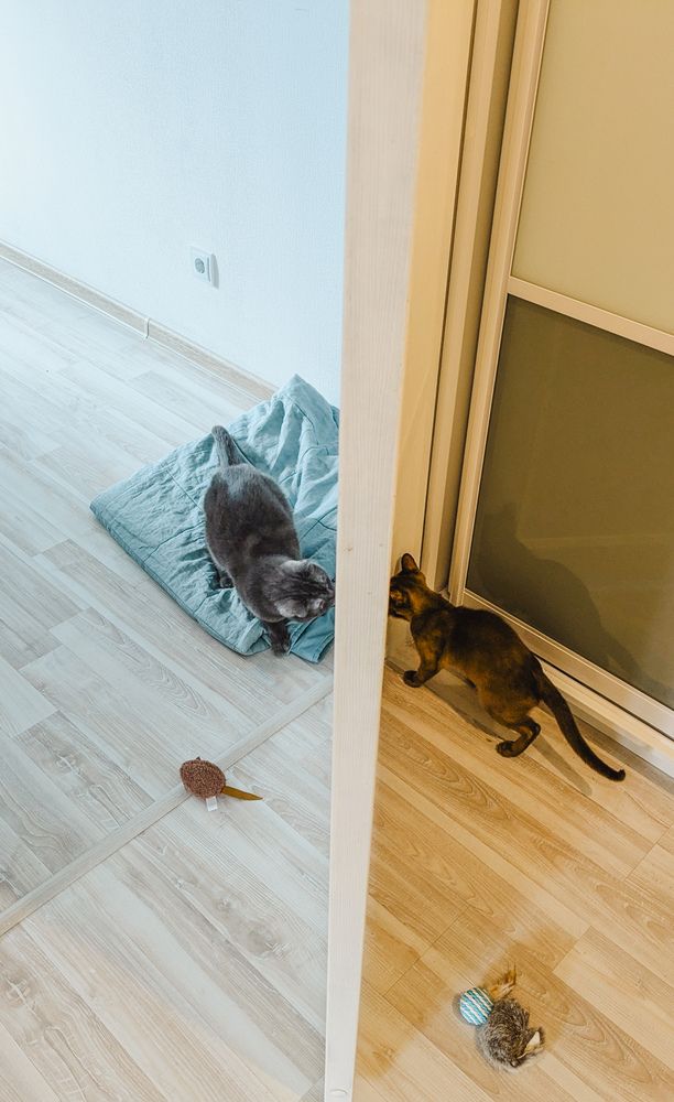 Photograph by Антон Яркин