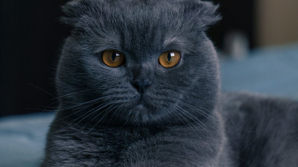 Photograph by Антон Яркин