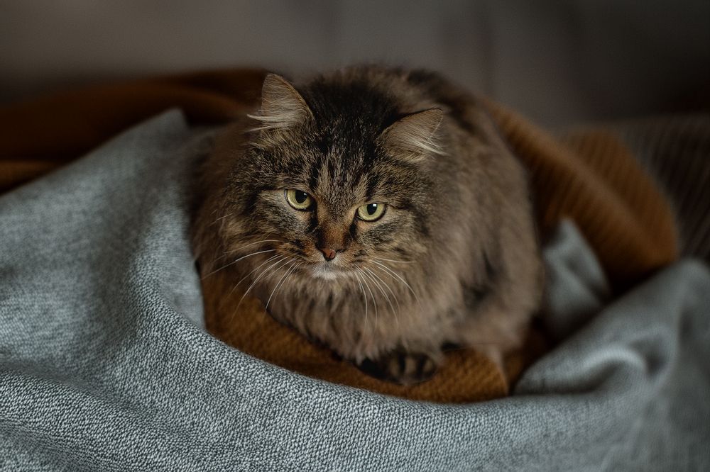 Photograph by Елена Самусенкова