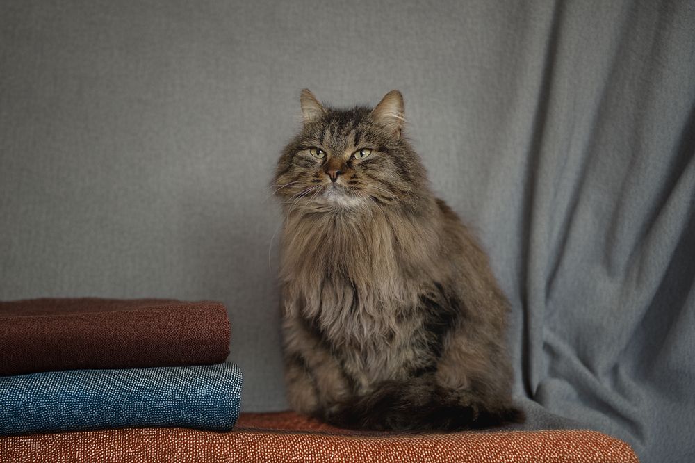 Photograph by Елена Самусенкова