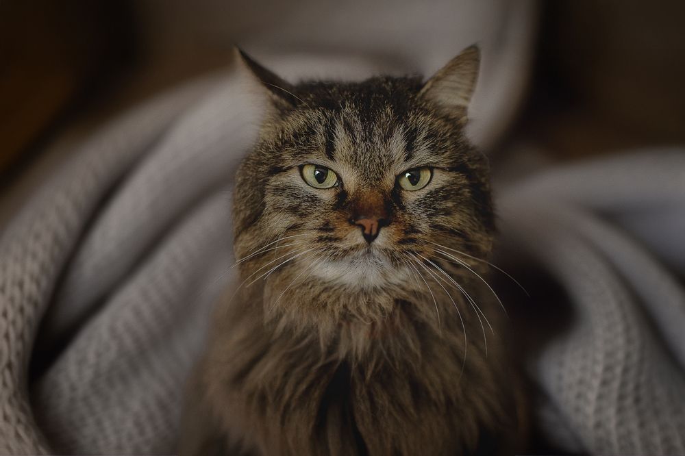 Photograph by Елена Самусенкова