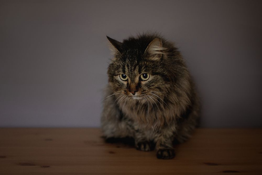 Photograph by Елена Самусенкова