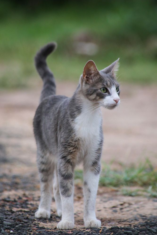 Фотография автора KEVIN ROLAISER