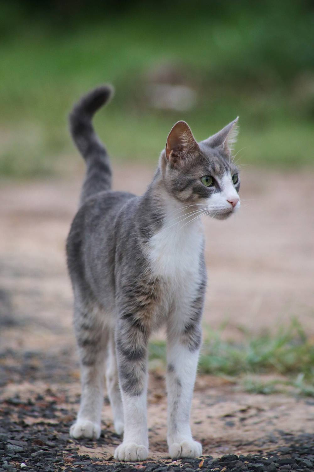 Фотография #12206712