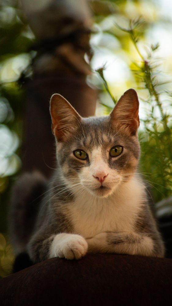 Фотография автора KEVIN ROLAISER