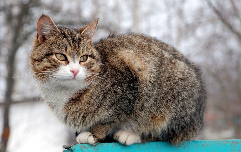 Photograph by Андрей Чуйков