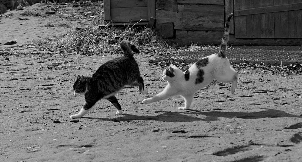 Photograph by Татьяна Слесарева