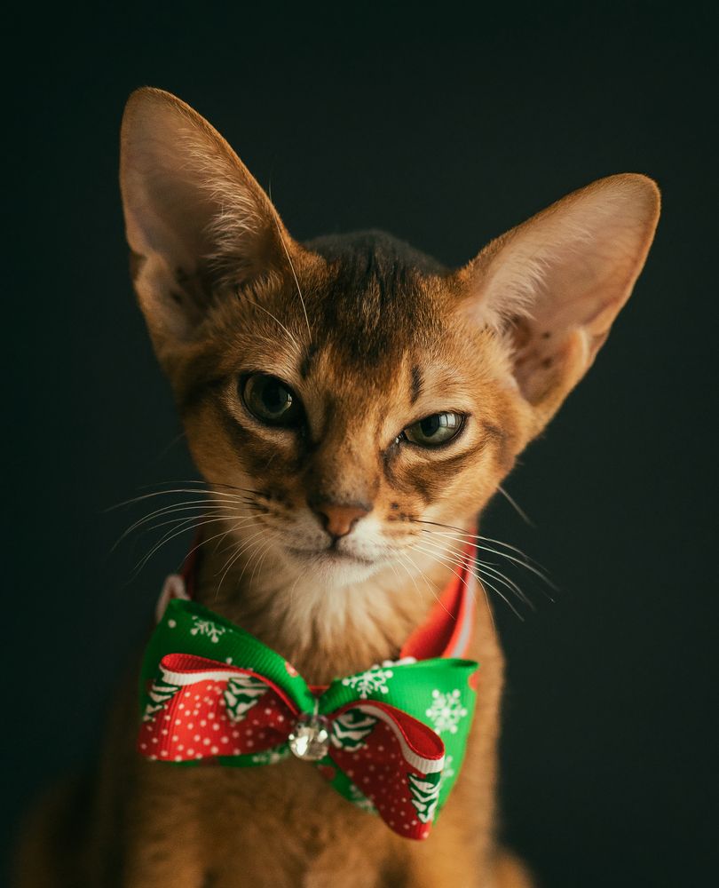 Photograph by Антон Садомов