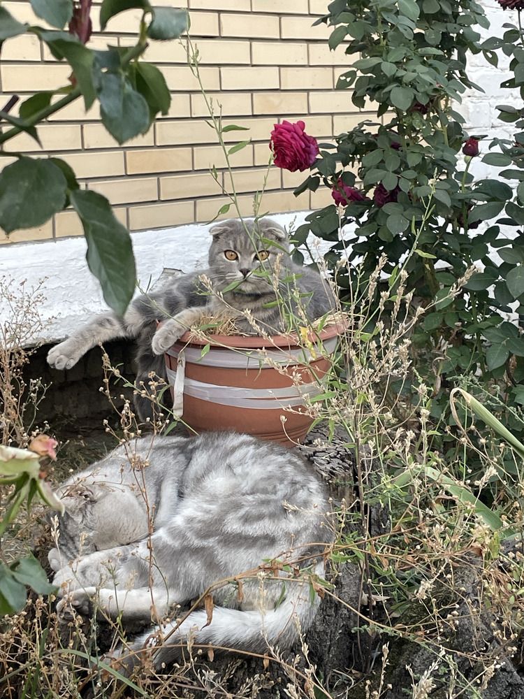 Photograph by Марина