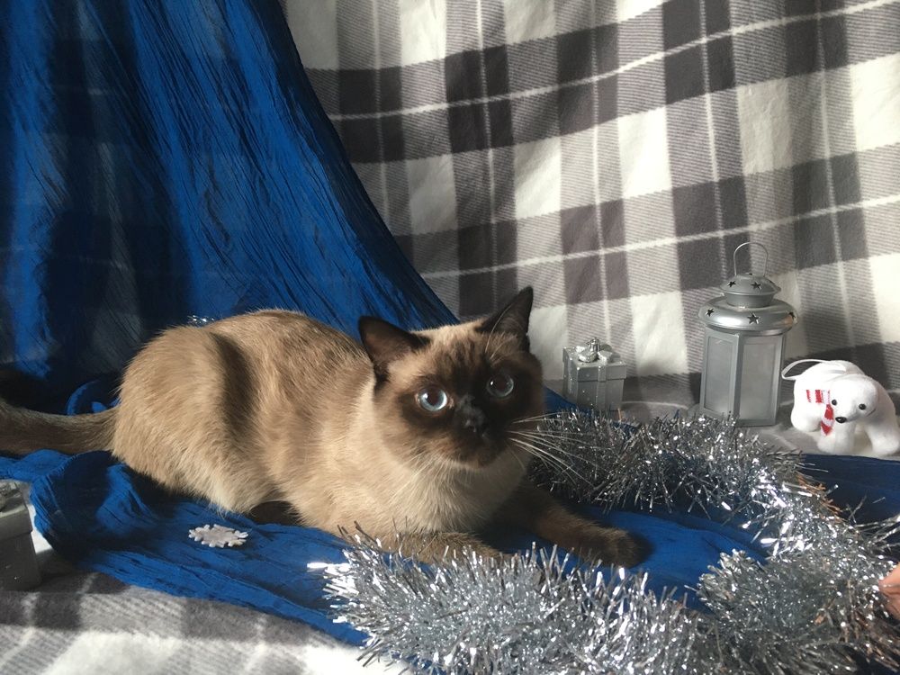 Photograph by Марина