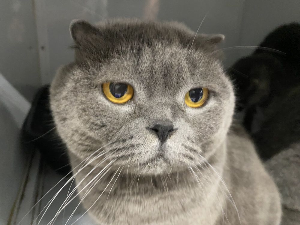 Photograph by Waleed Yousuf Alwahaibi