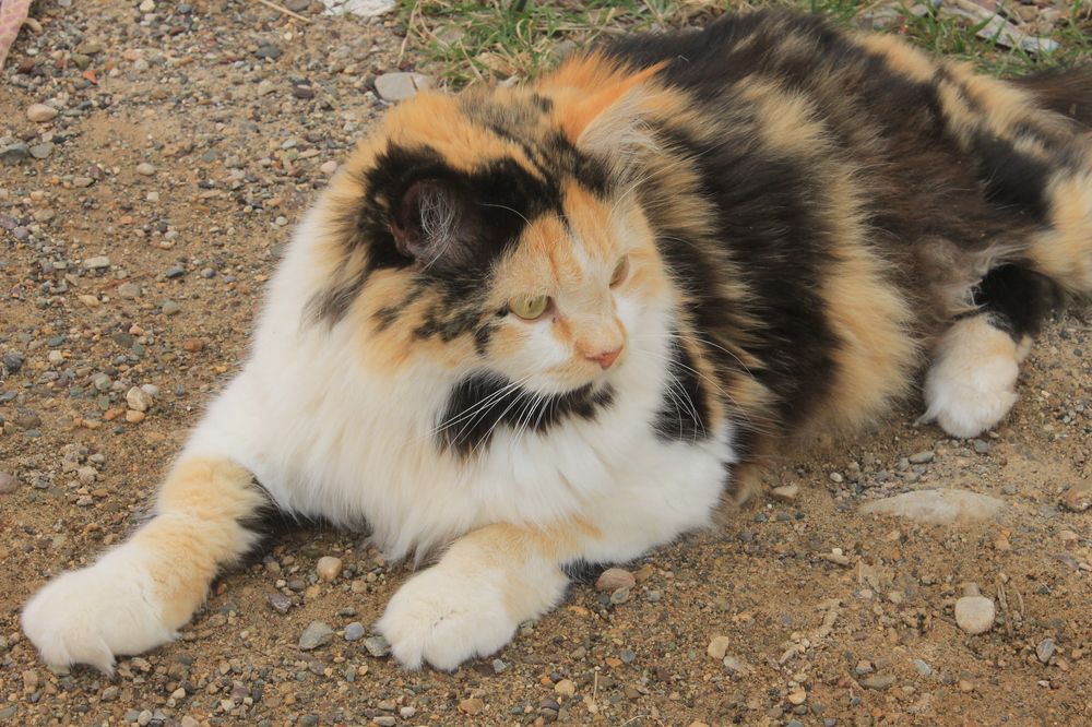 Photograph by Waleed Yousuf Alwahaibi