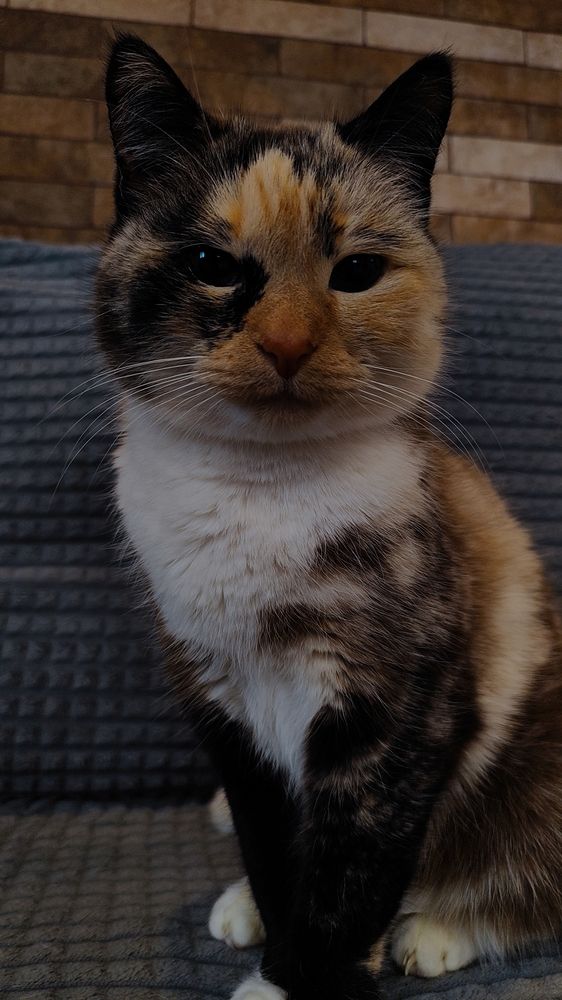 Photograph by Александр Климов