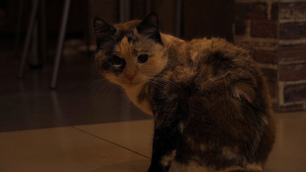 Photograph by Александр Климов