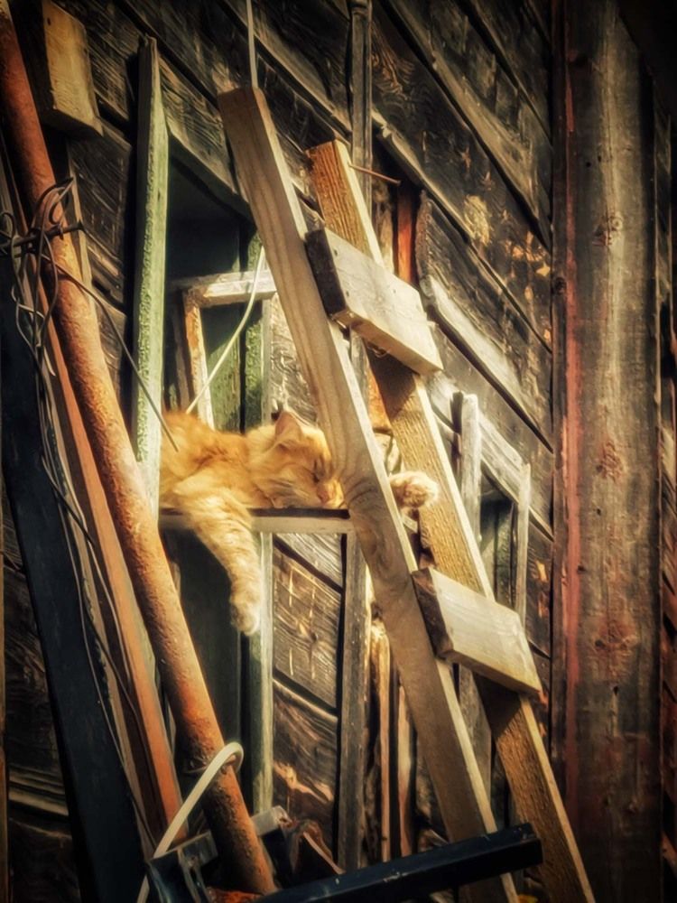 Photograph by Сергей Назаредский