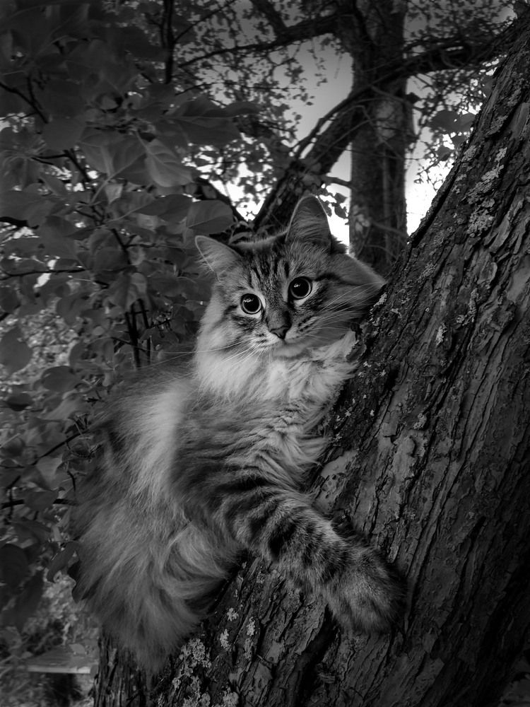 Photograph by Марина