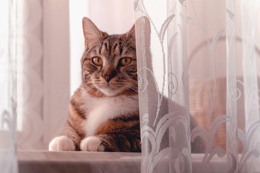 Фотография автора Дмитрий Себрин