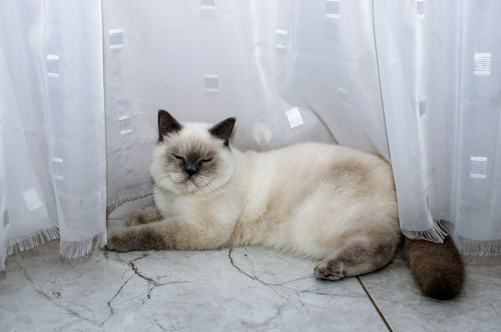 Photograph by Анатолий Святой