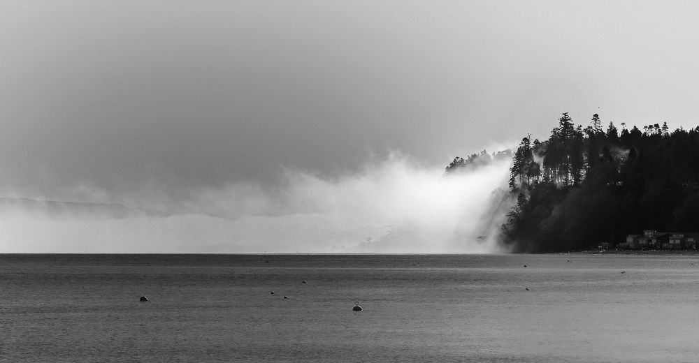 Photograph by Natalia Macoveiciuc