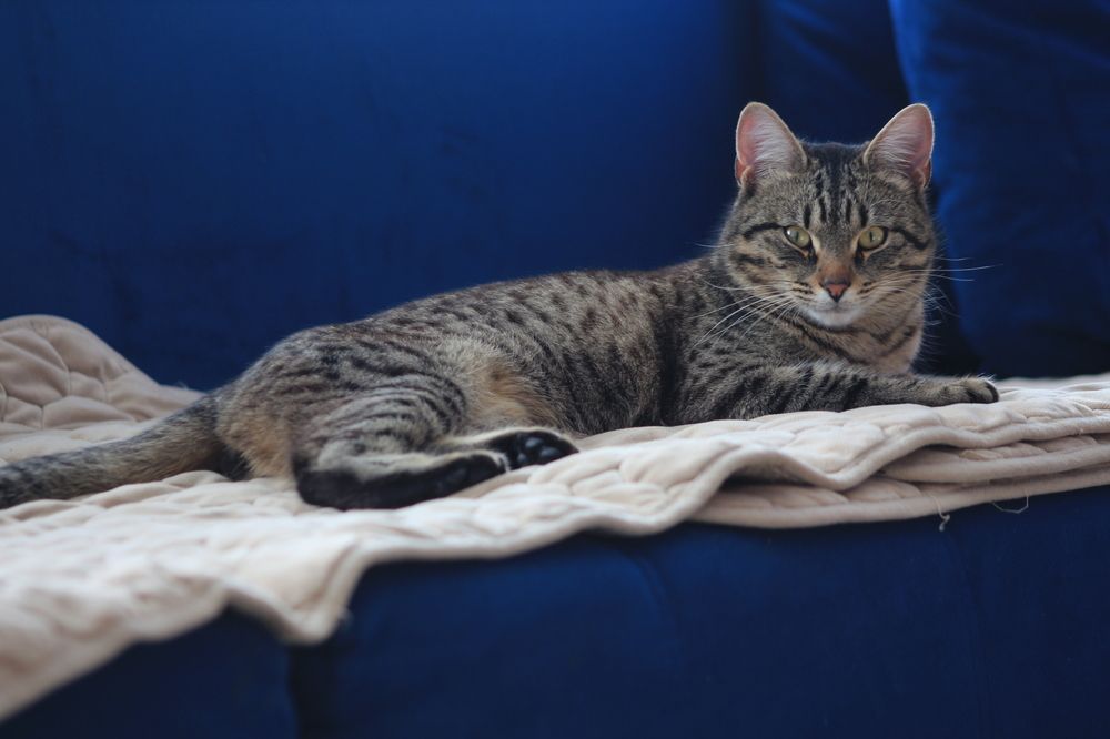 Фотография автора Людмила Иванова