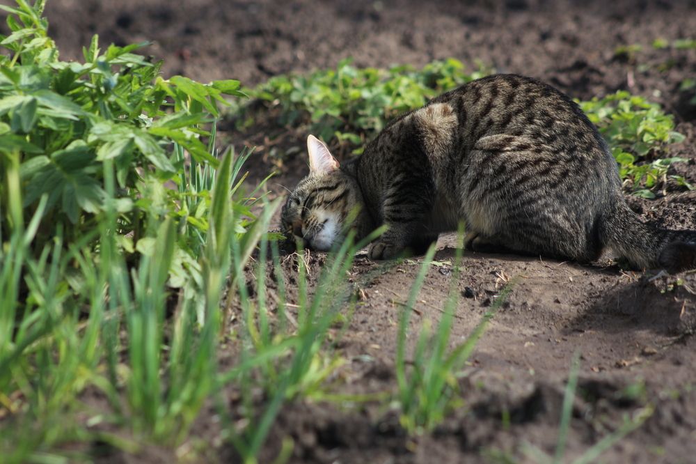 Фотография автора Людмила Иванова