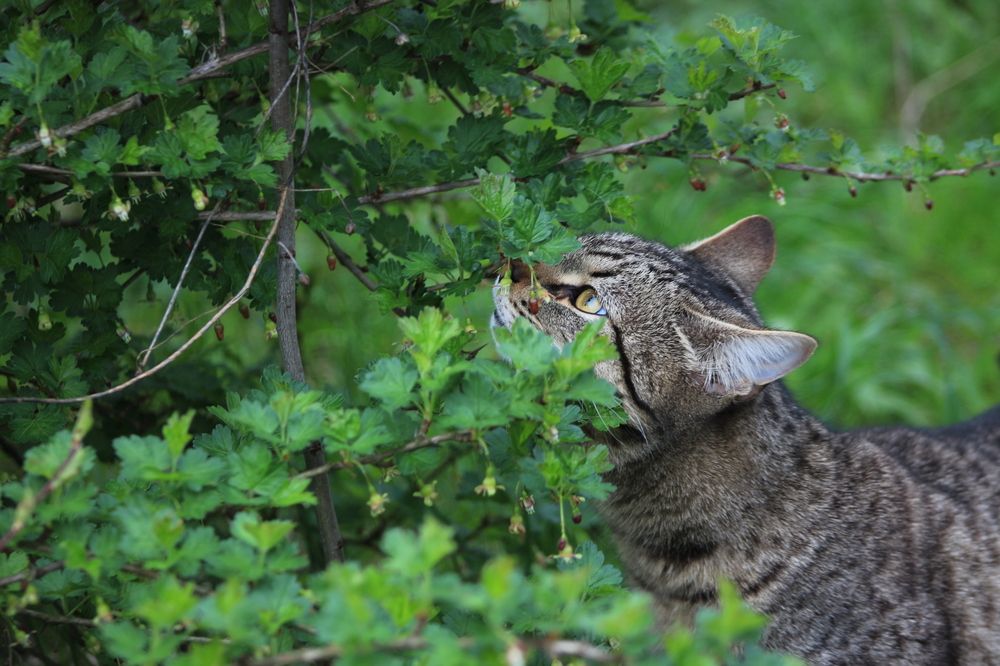 Фотография автора Людмила Иванова